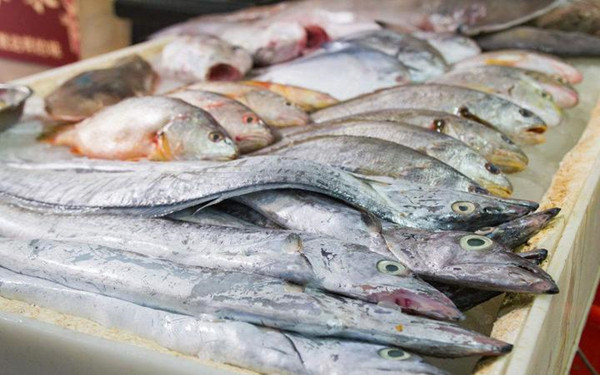 水產(chǎn)品藥物殘留檢測(cè)儀 水產(chǎn)品藥物殘留檢測(cè)儀